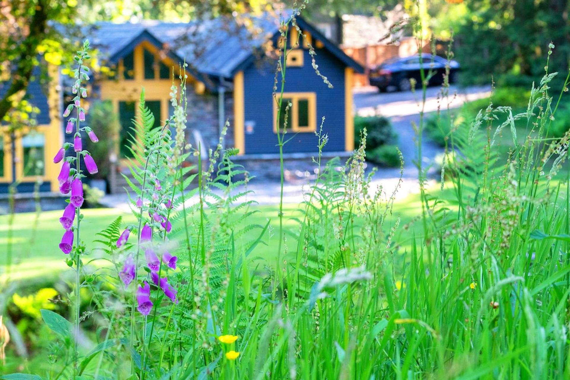 Little Langdale Carr Crag Pavilion מראה חיצוני תמונה